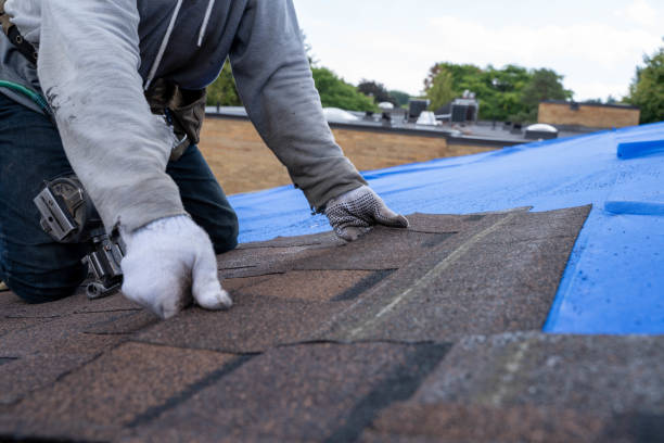 Best Chimney Flashing Repair  in Finley, WA